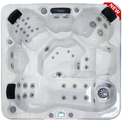 Avalon-X EC-849LX hot tubs for sale in Red Lands