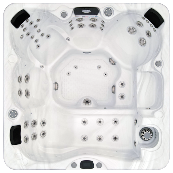 Avalon-X EC-867LX hot tubs for sale in Red Lands